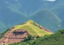 teto de R$ 180 para exames da CNH em Minas Gerais