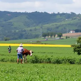 Antônio Gomide produtores rurais multas GTA