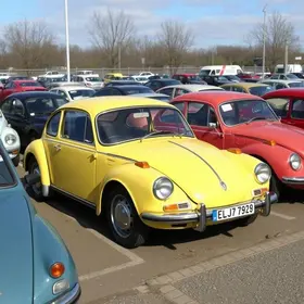 leilão de veículos