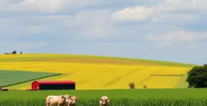 segurança jurídica