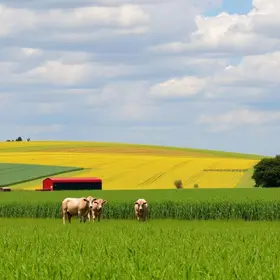 segurança jurídica