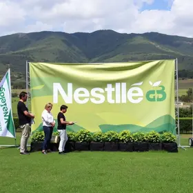 licenciamento ambiental