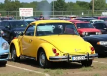 leilões do Detran-SP