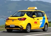 novo modelo de exames de direção