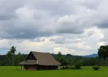 curso teórico de primeira habilitação gratuito