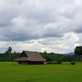 curso teórico de primeira habilitação gratuito