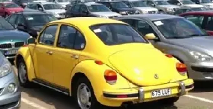 novo leilão de veículos