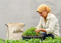 ALMT reduz multas para micro empresários