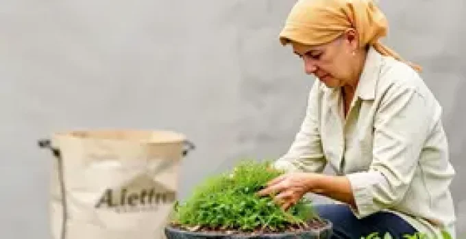ALMT reduz multas para micro empresários