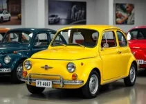 fanático pela Fiat