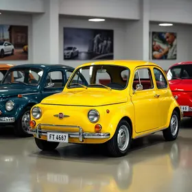 fanático pela Fiat
