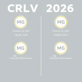 CRLV 2026 em MG