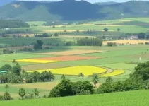 licenciamento ambiental agropecuário