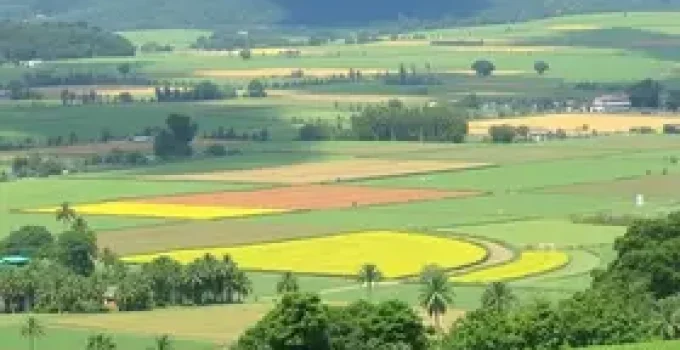 licenciamento ambiental agropecuário