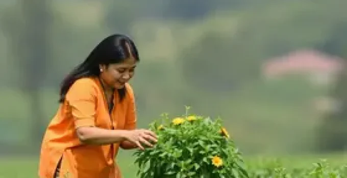 mudança de CNH