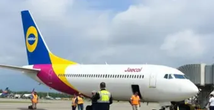 chegada ao Brasil