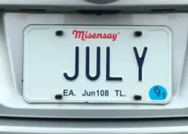 licenciamento em MS