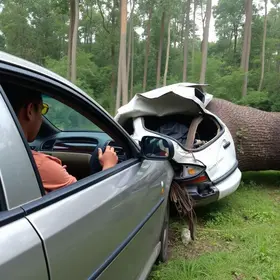 motorista sem CNH e embriagado