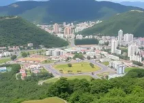 número de atividades dispensadas de alvarás