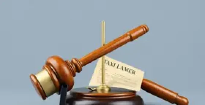 interposição fraudulenta