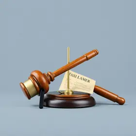 interposição fraudulenta