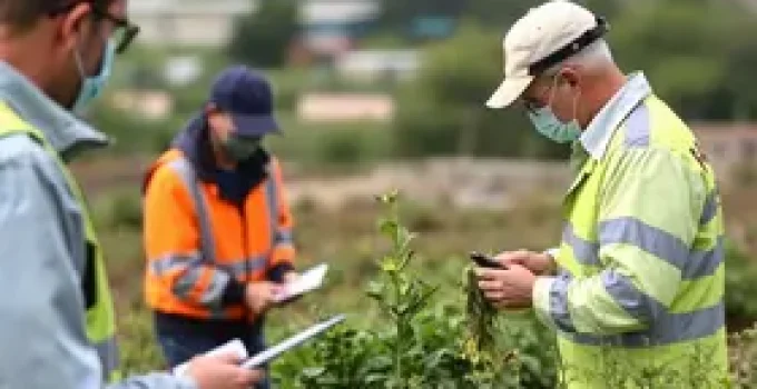 fraude em licenciamento ambiental