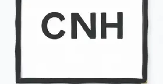 renovação da CNH no Paraná