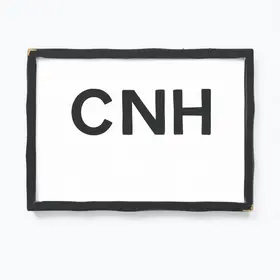 renovação da CNH no Paraná