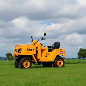 CNH gratuita