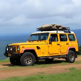 SUVs usados