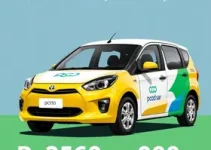 carros para PCD
