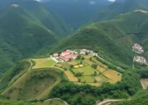 CMDU
