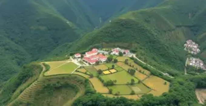 CMDU