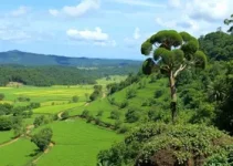 multas ambientais Minas Gerais