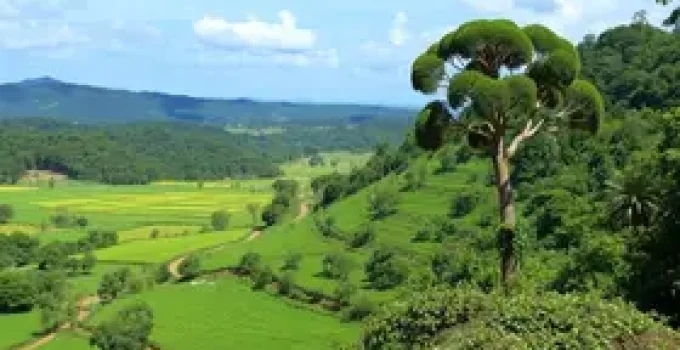 multas ambientais Minas Gerais