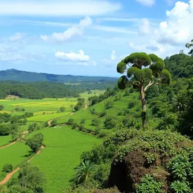 multas ambientais Minas Gerais