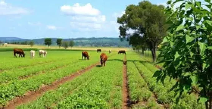 licenciamento ambiental
