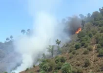 queimadas clandestinas