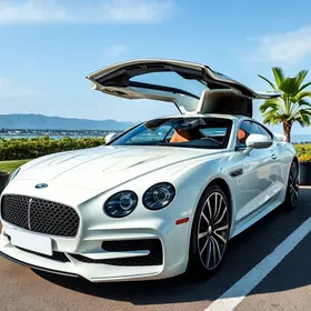 manter um carro de luxo no Brasil