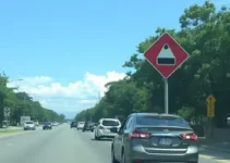 cassações de CNH