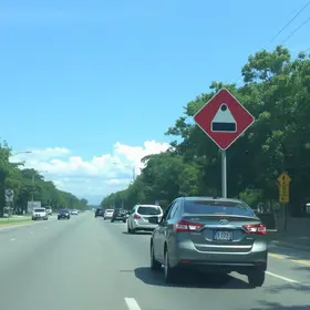 cassações de CNH