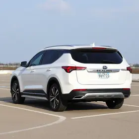 BYD Sealion 7