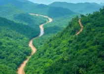 multas ambientais na Amazônia