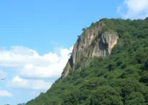 Vagas Detran Ribeirão Preto