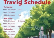 programação de eventos