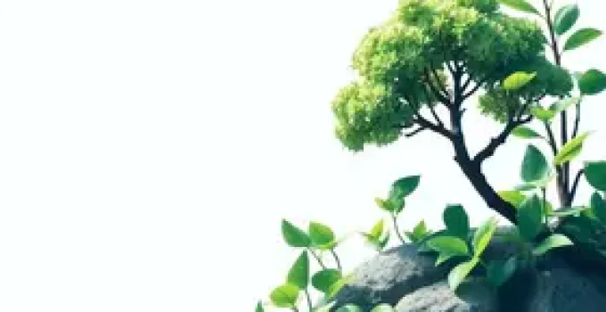 mudanças no licenciamento ambiental
