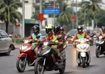 IPVA zero