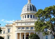 licenciamento digital de veículos