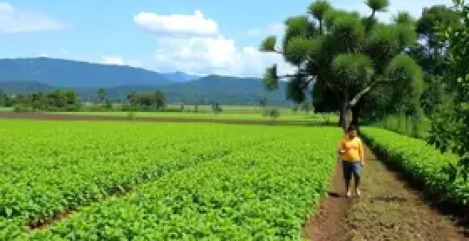 licenciamento ambiental