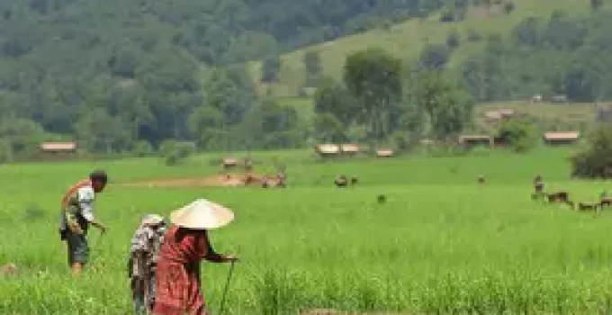projeto perdoa multas aplicadas a indígenas por produção agropecuária